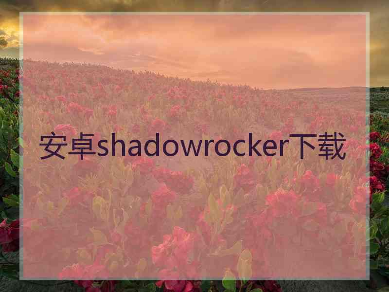 安卓shadowrocker下载