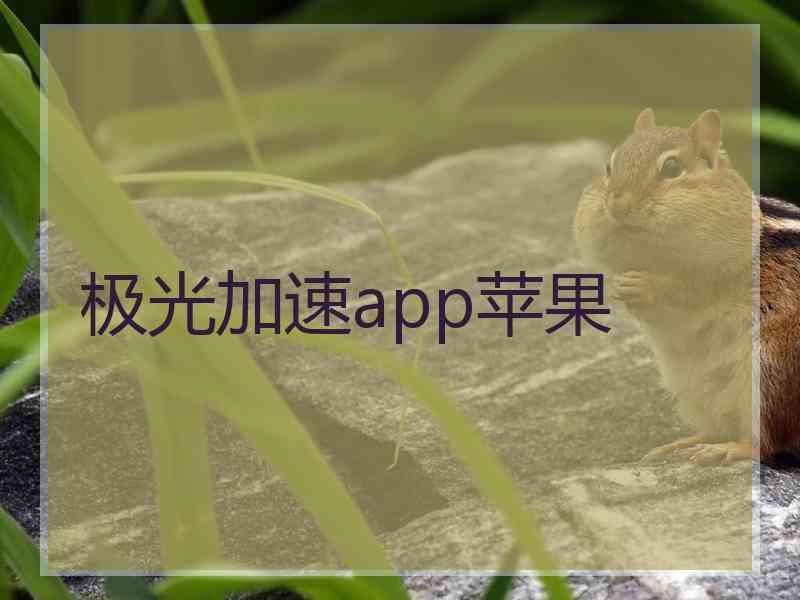 极光加速app苹果