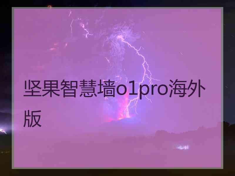 坚果智慧墙o1pro海外版