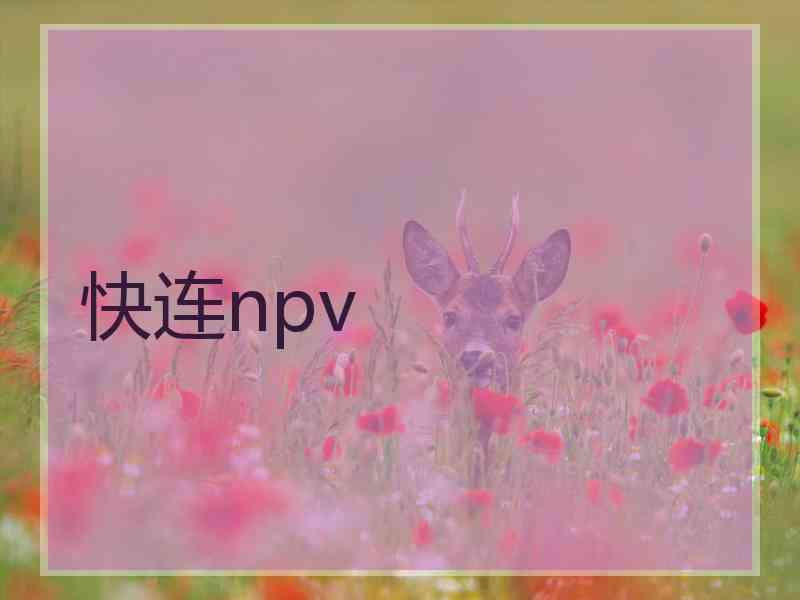 快连npv