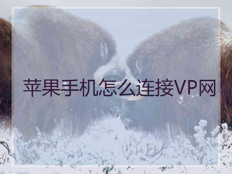 苹果手机怎么连接VP网