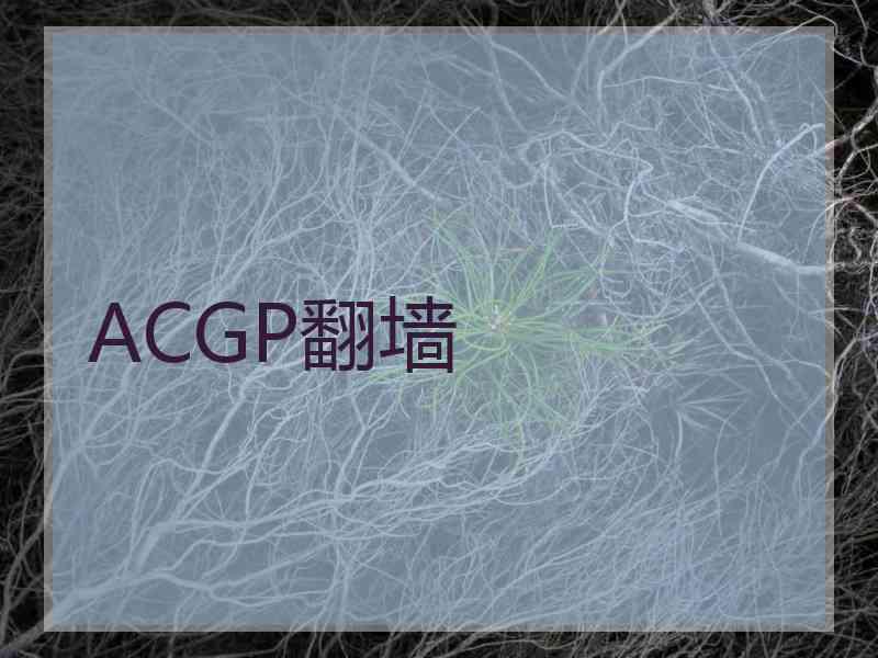 ACGP翻墙