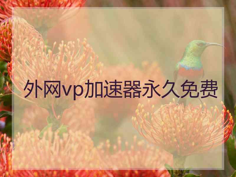 外网vp加速器永久免费