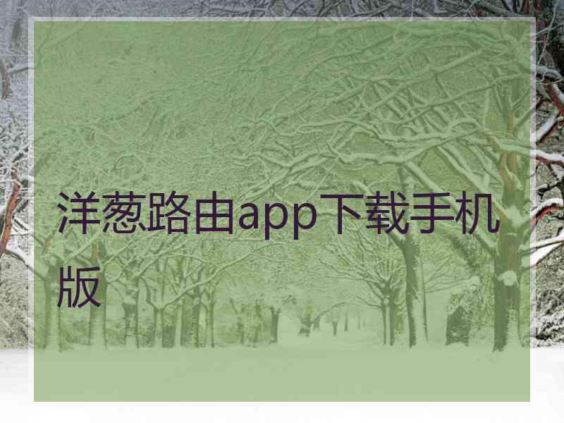 洋葱路由app下载手机版