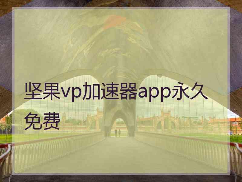 坚果vp加速器app永久免费