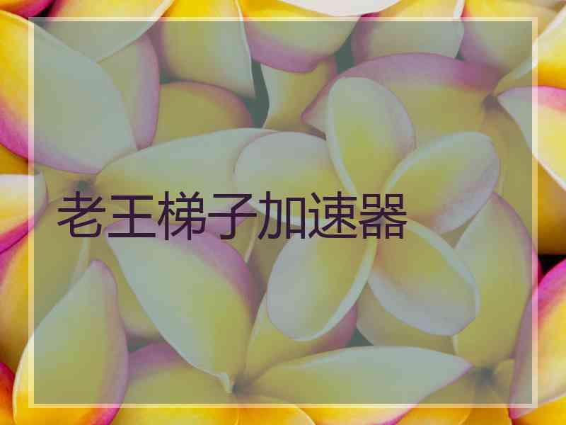 老王梯子加速器