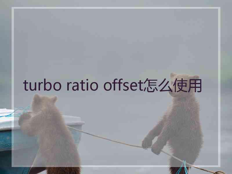 turbo ratio offset怎么使用