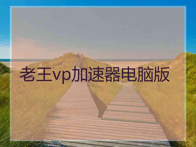 老王vp加速器电脑版