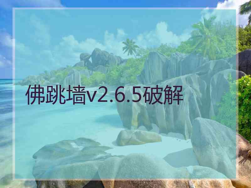 佛跳墙v2.6.5破解