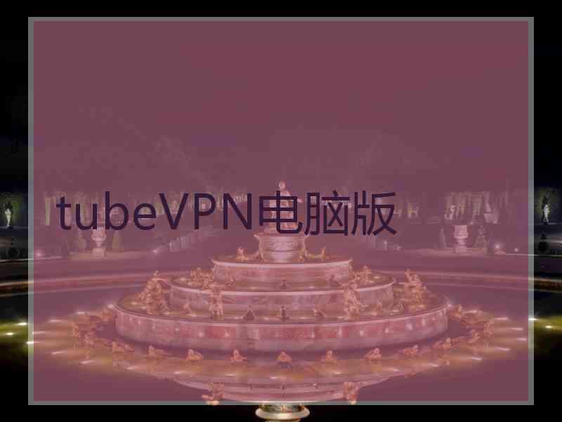 tubeVPN电脑版