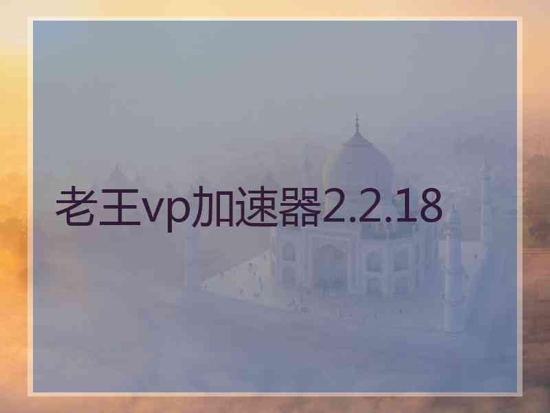 老王vp加速器2.2.18