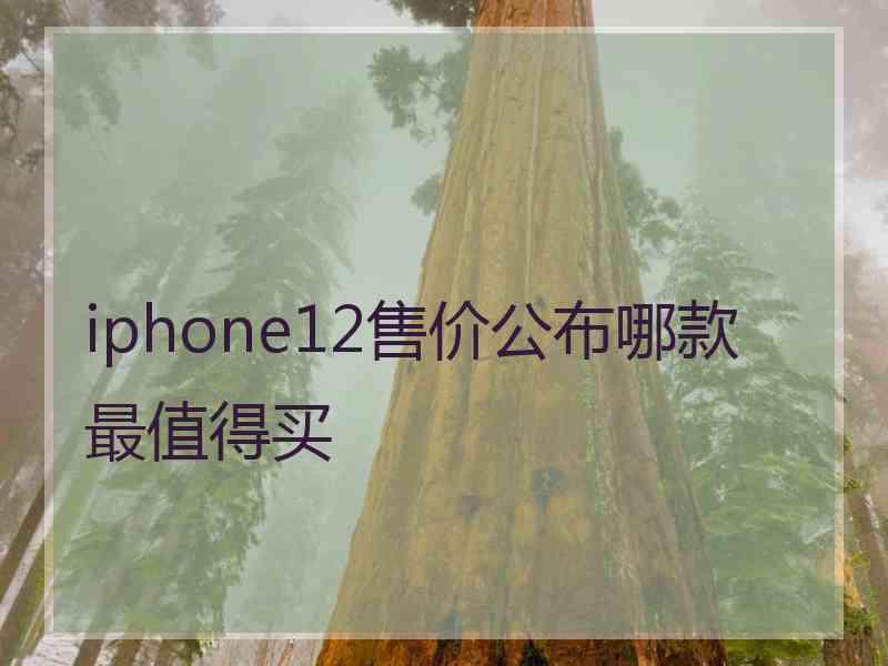 iphone12售价公布哪款最值得买