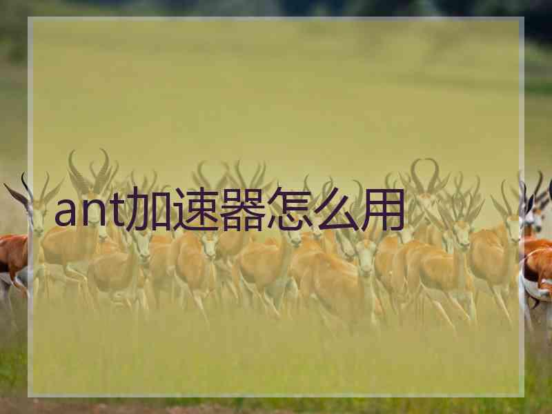 ant加速器怎么用