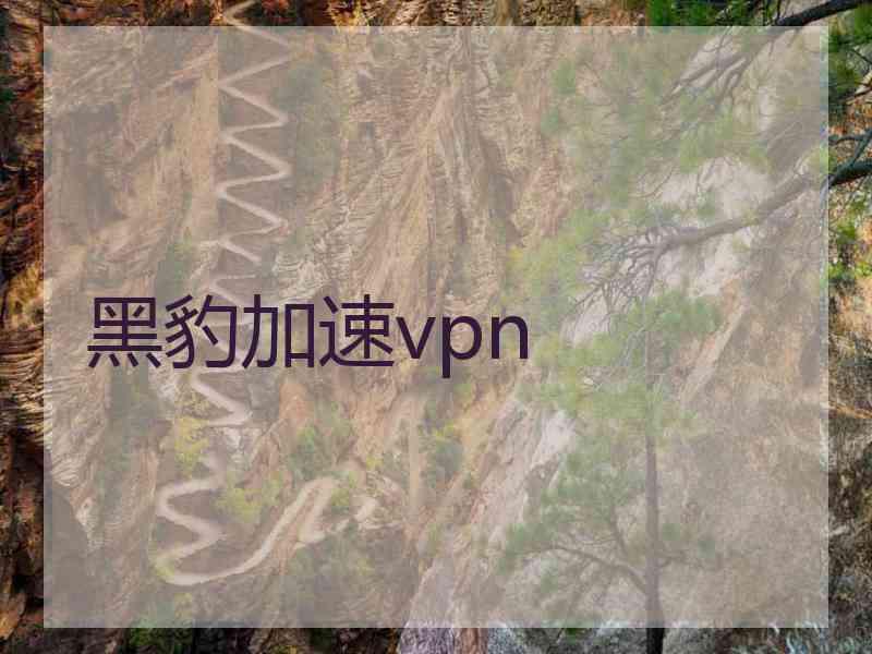 黑豹加速vpn