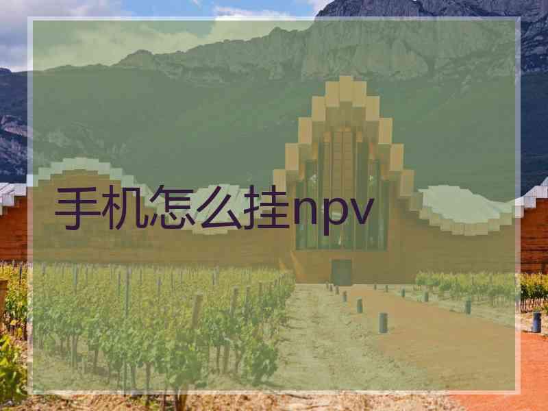 手机怎么挂npv