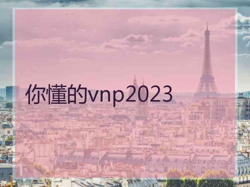 你懂的vnp2023