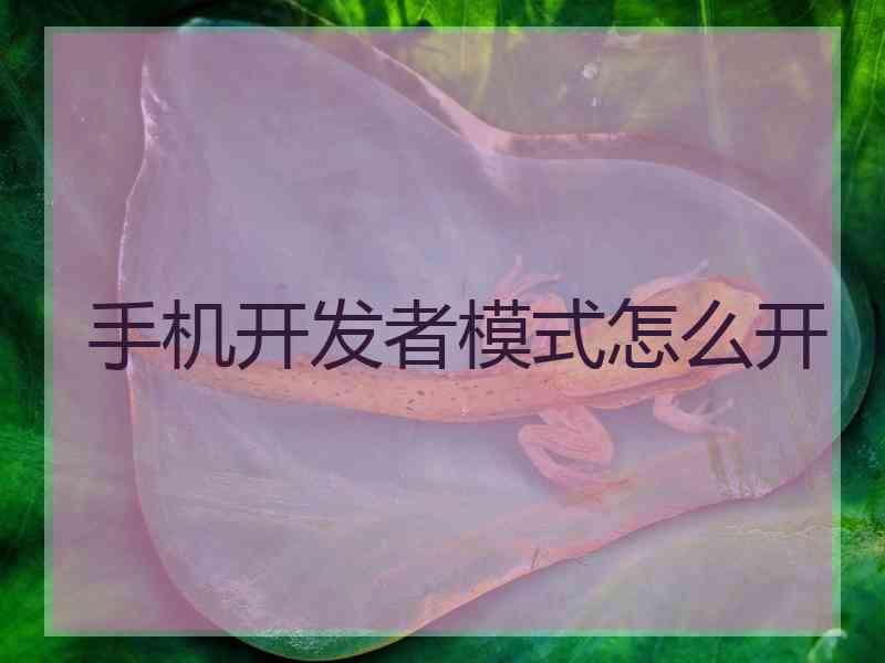 手机开发者模式怎么开