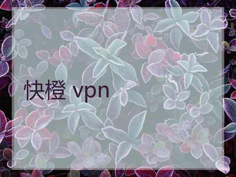 快橙 vpn