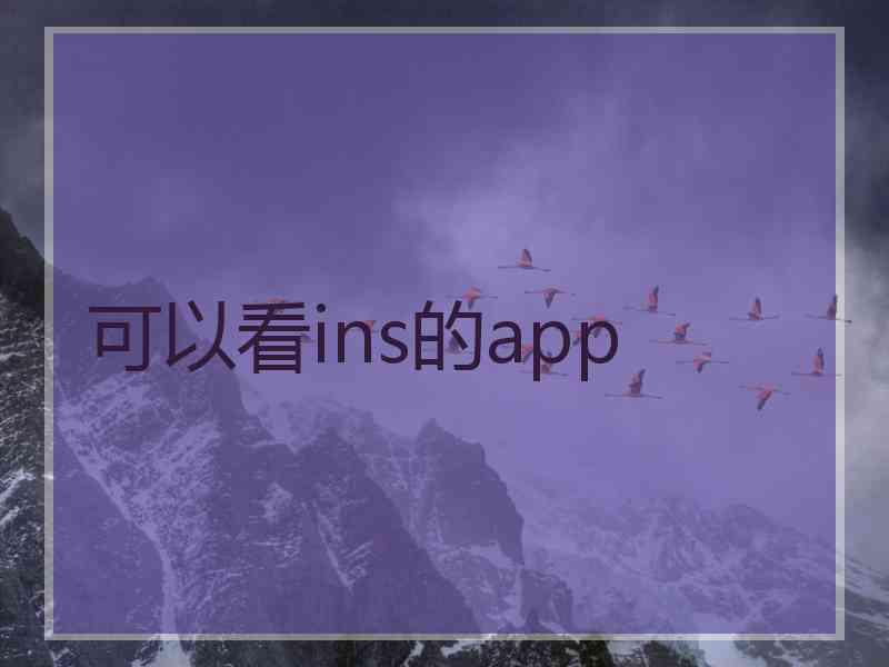 可以看ins的app