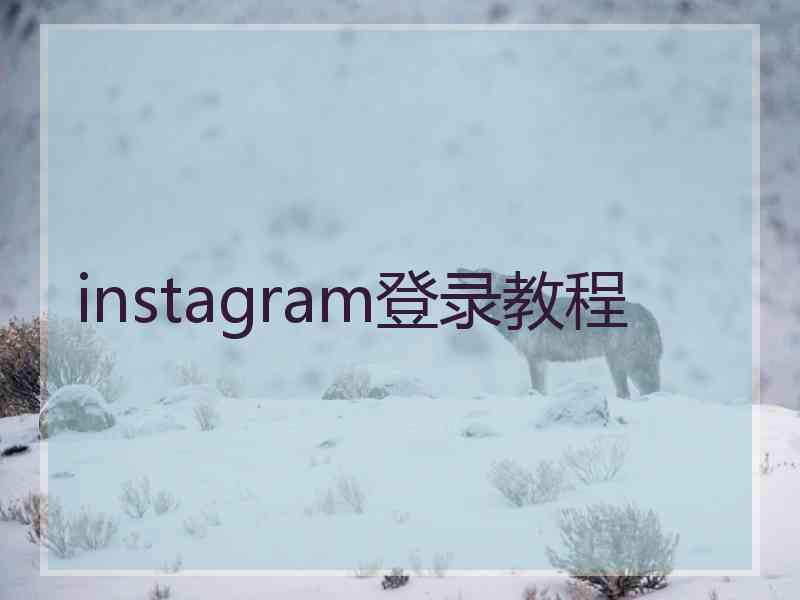 instagram登录教程