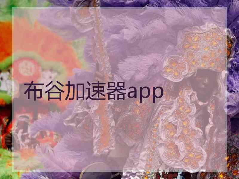 布谷加速器app