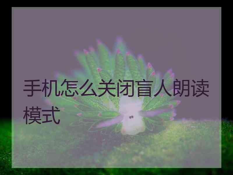 手机怎么关闭盲人朗读模式