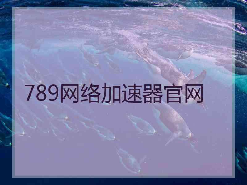 789网络加速器官网