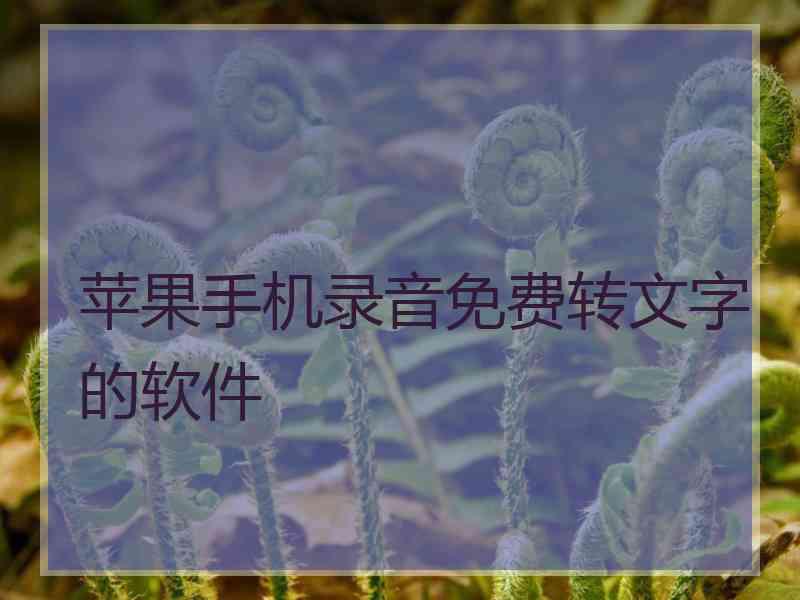 苹果手机录音免费转文字的软件