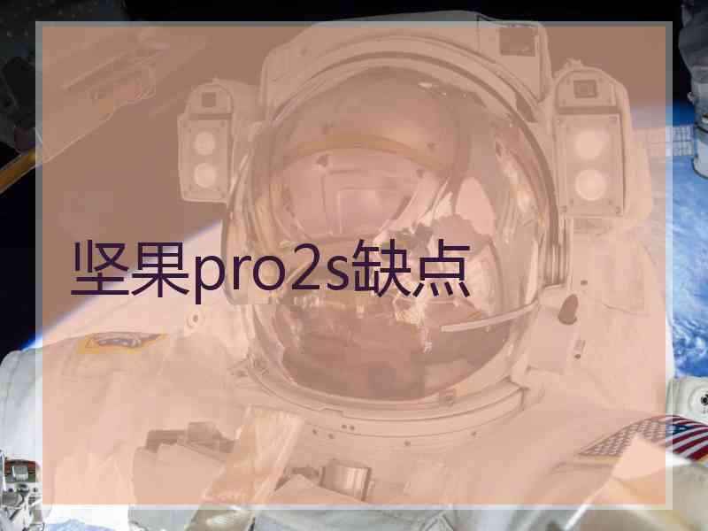 坚果pro2s缺点