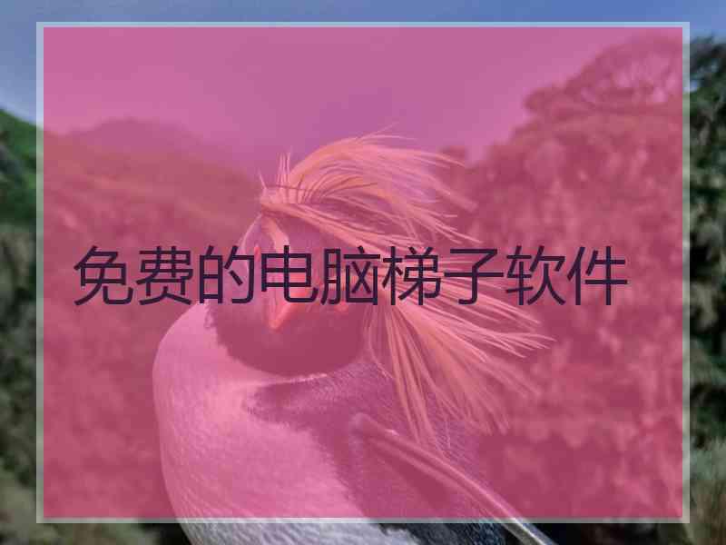 免费的电脑梯子软件