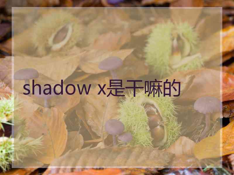 shadow x是干嘛的