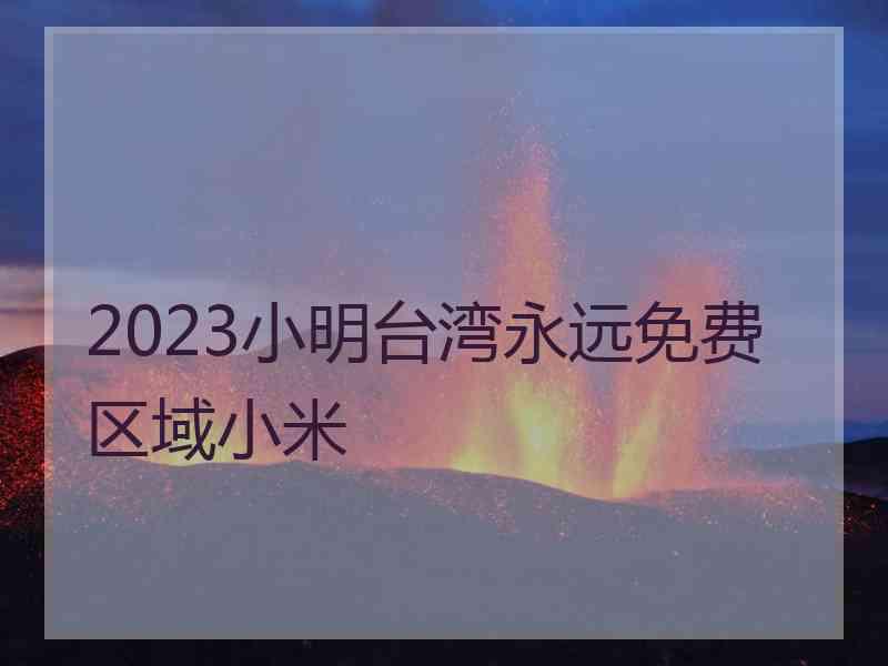 2023小明台湾永远免费区域小米