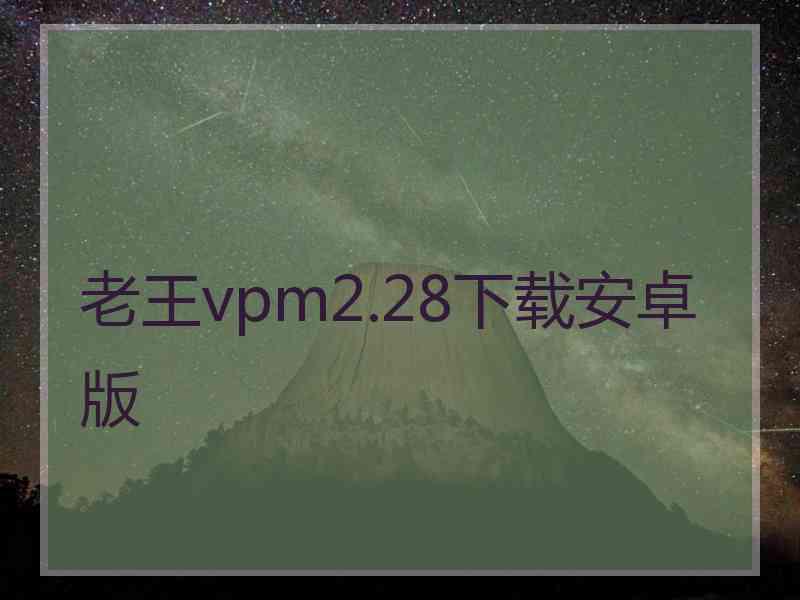 老王vpm2.28下载安卓版