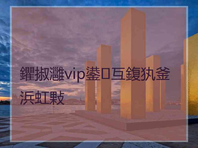 鑺掓灉vip鍙互鍑犱釜浜虹敤