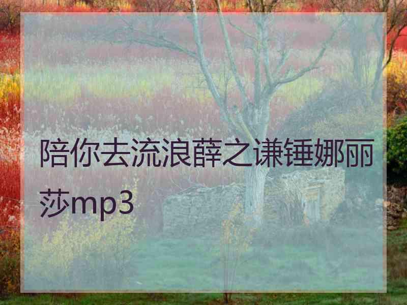 陪你去流浪薛之谦锤娜丽莎mp3