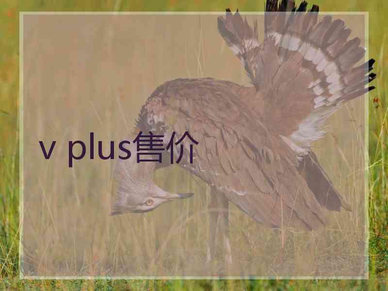 v plus售价