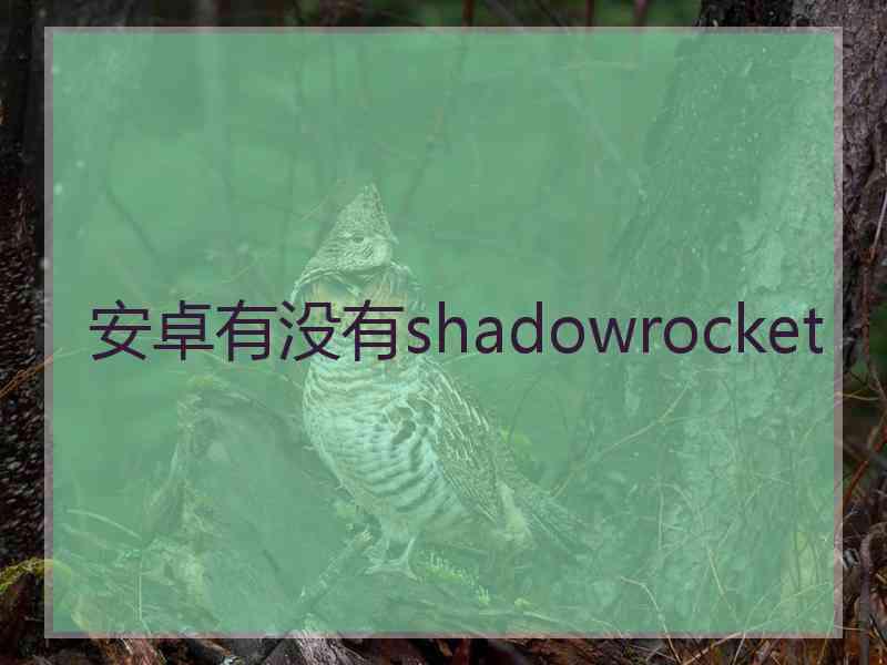 安卓有没有shadowrocket