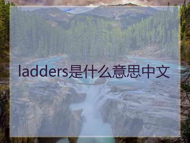 ladders是什么意思中文