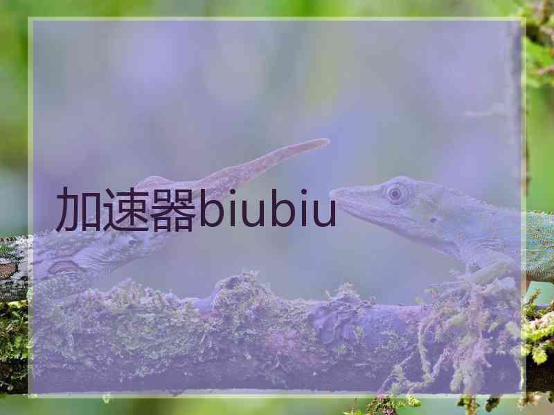 加速器biubiu