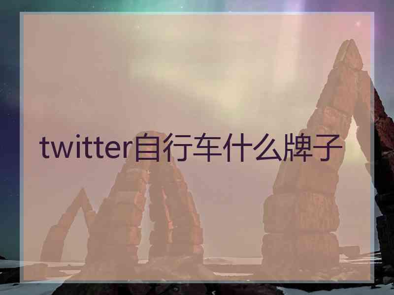 twitter自行车什么牌子