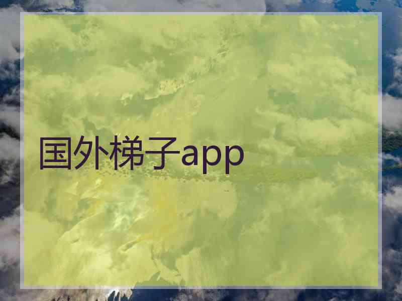 国外梯子app