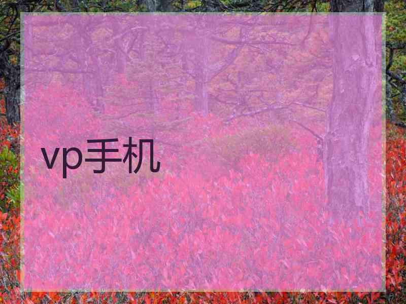 vp手机