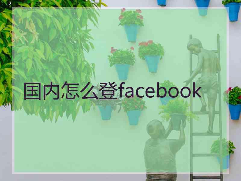 国内怎么登facebook