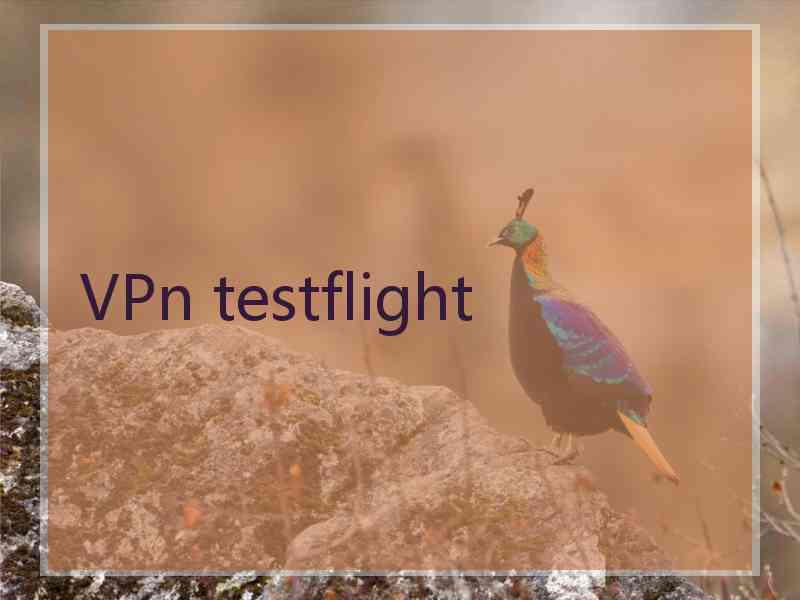 VPn testflight