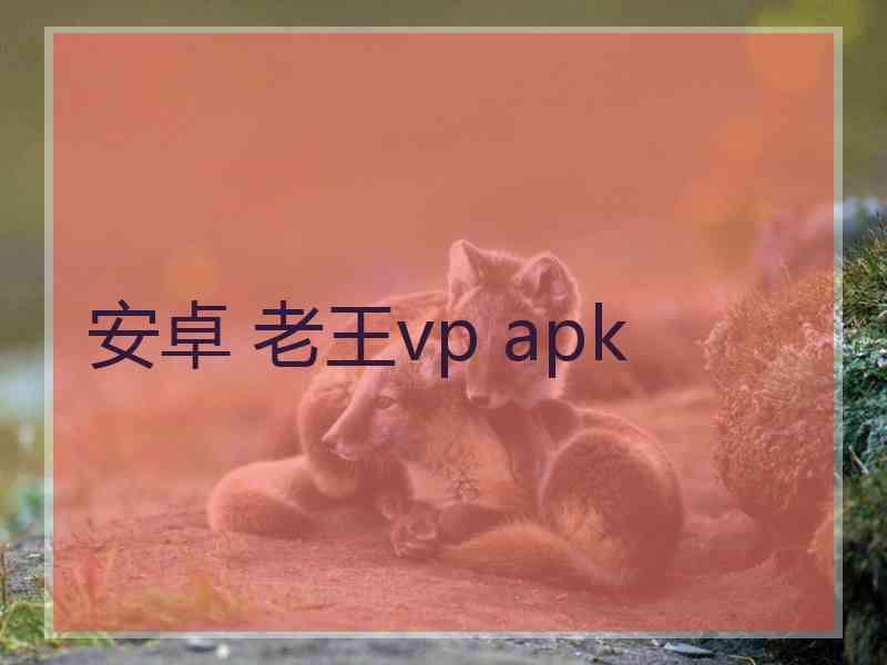 安卓 老王vp apk