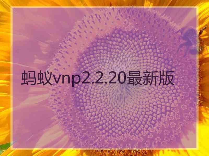 蚂蚁vnp2.2.20最新版