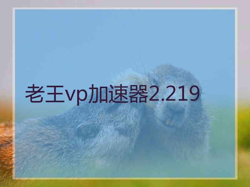 老王vp加速器2.219