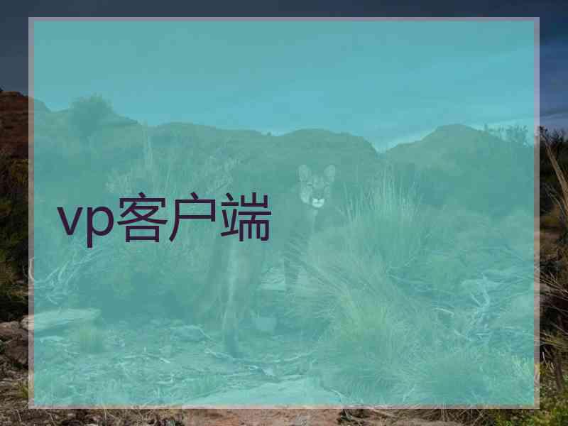 vp客户端