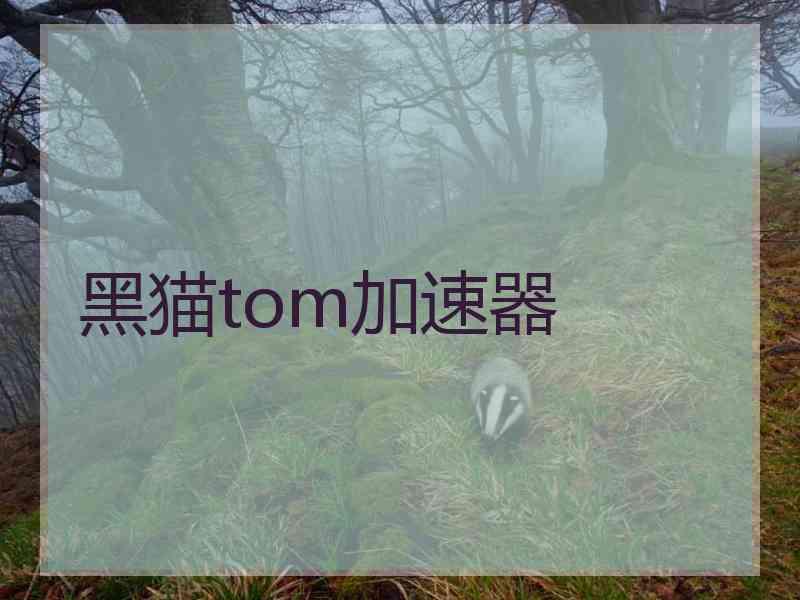 黑猫tom加速器