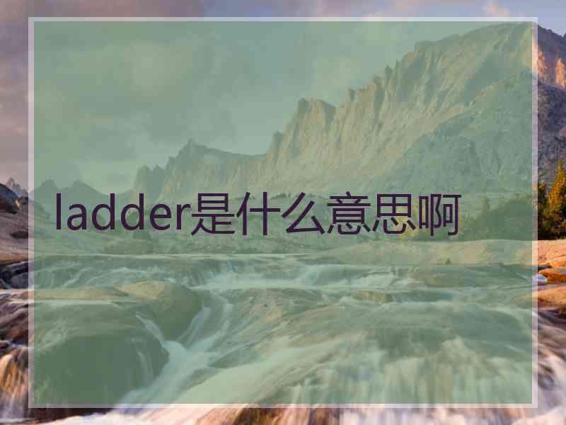 ladder是什么意思啊